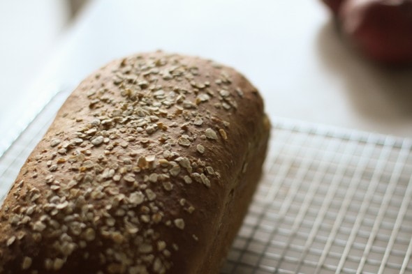 homemade molasses oatmeal bread