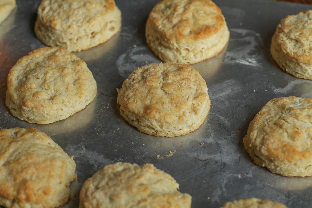 Buttermilk biscuits on a Vollrath baking sheet.