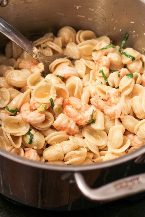 shrimp orecchiette.