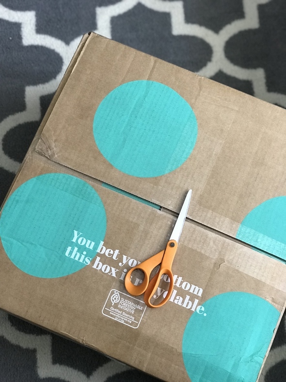 ThredUp Rescue Box Review  the fails - The Frugal Girl