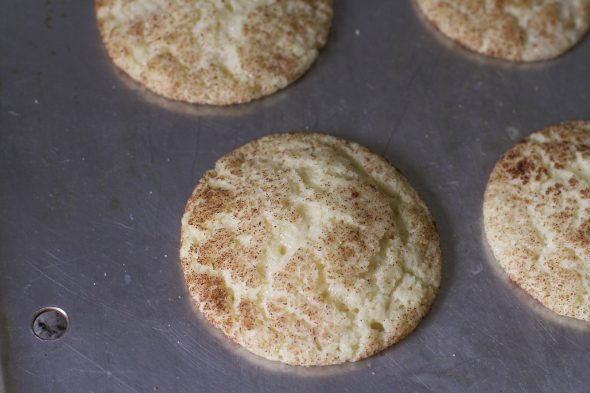 chewy snickerdoodle