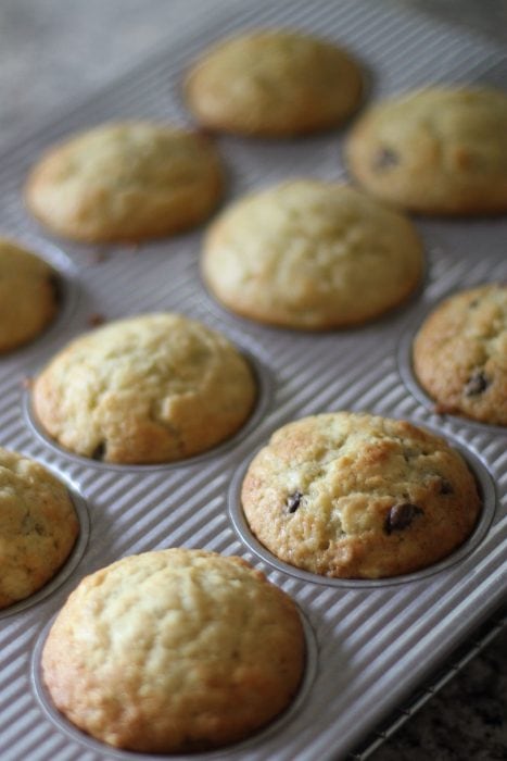 chocolate chip banana muffins