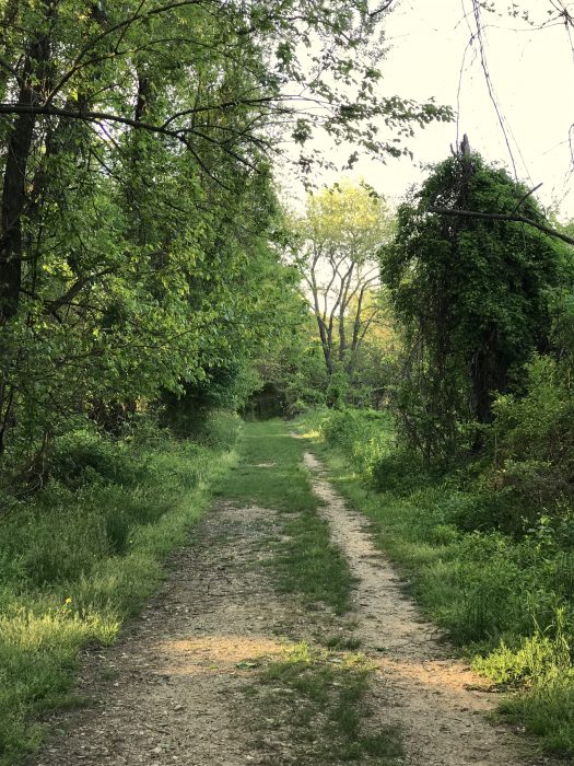 spring path