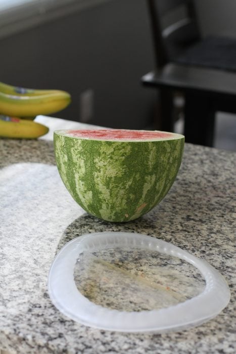 Lekue silicone lid for watermelon