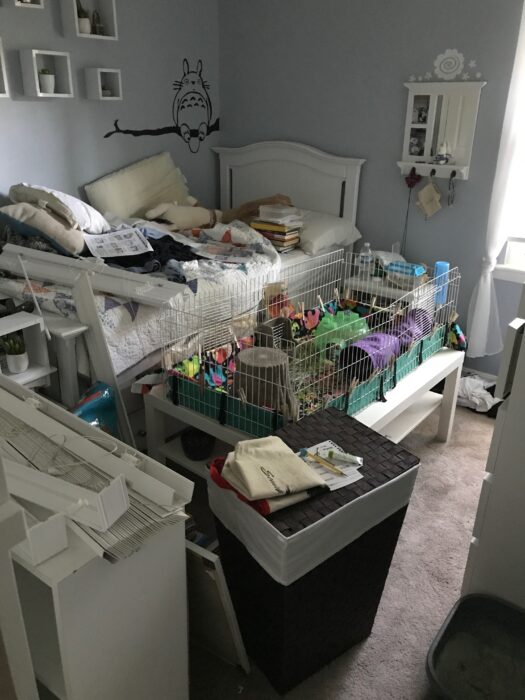 Liseys cluttered room