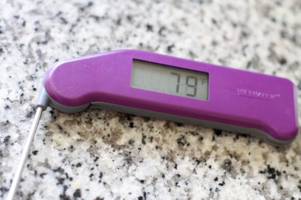 thermapen instand read thermometer