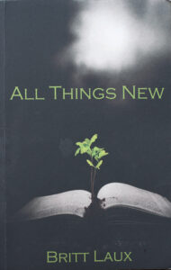 All Things New Britt Laux Review