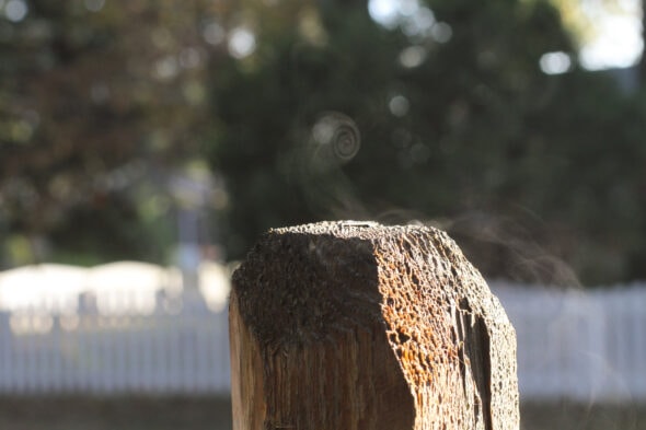 mist from wet fencepost