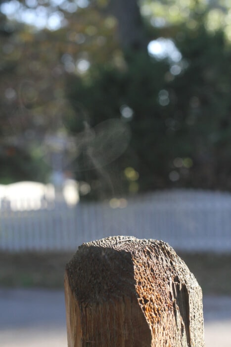 mist from wet fencepost