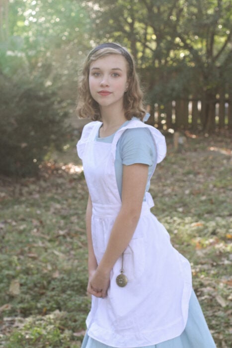 Alice in Wondeland costume