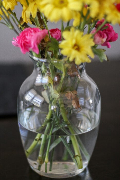 pink and yellow flower