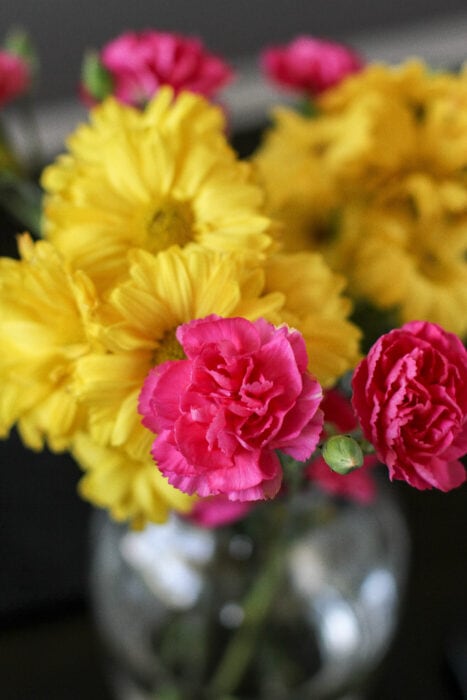 pink and yellow flower