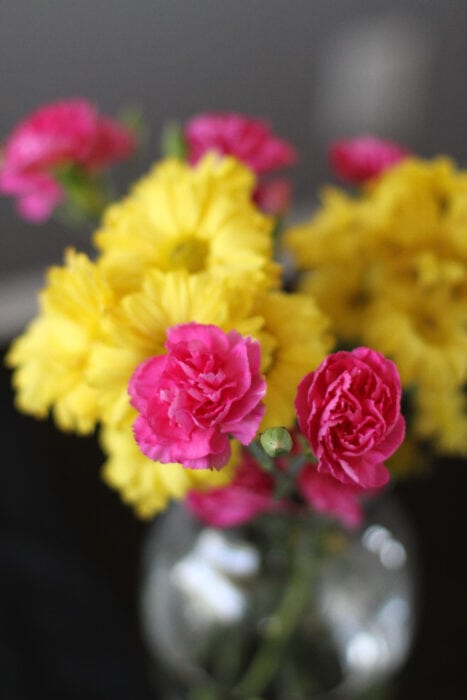 pink and yellow flower