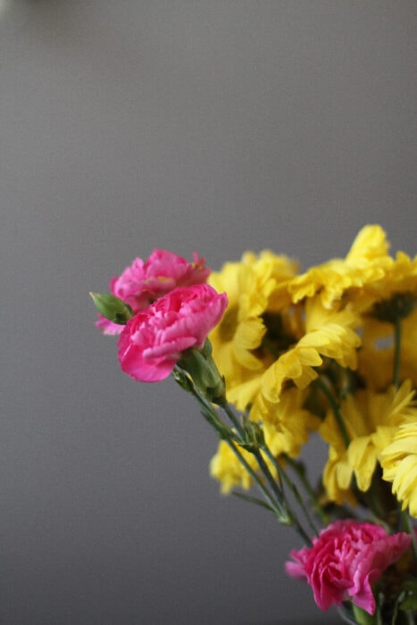 pink and yellow flower