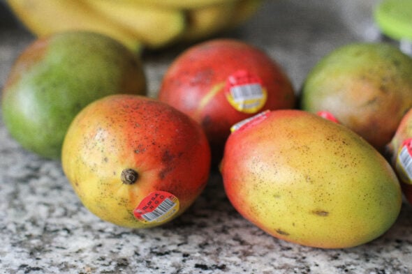 Hungry Harvest mangoes