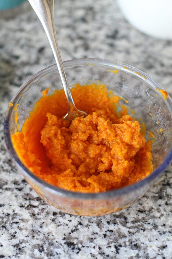 Butternut Squash Yeast Roll Recipe The Frugal Girl