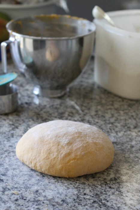 kneaded roll dough