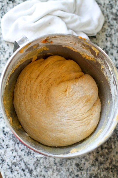 dough before rising