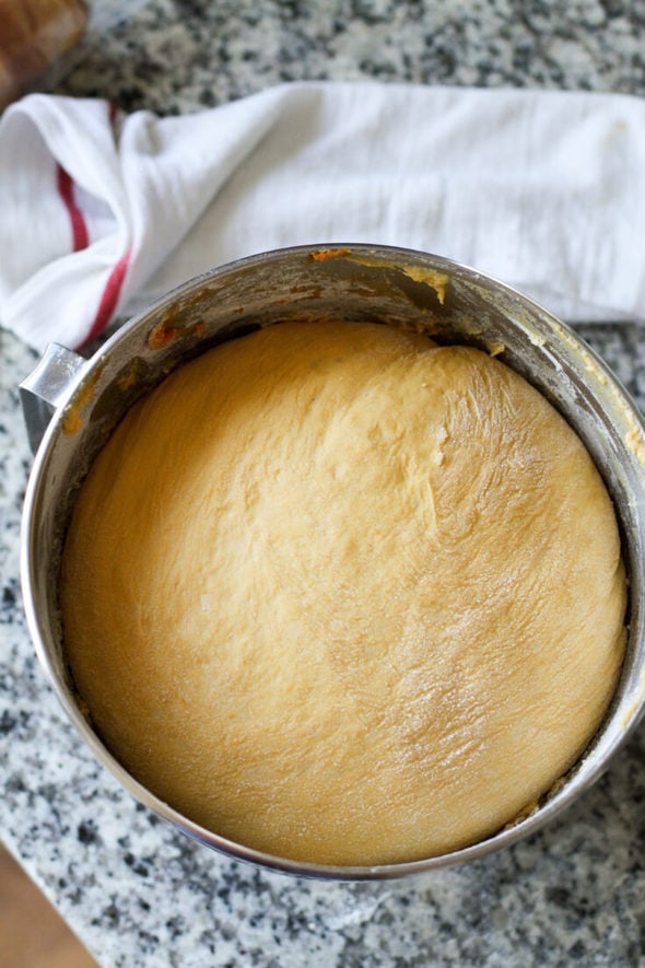 Butternut Squash Yeast Roll Recipe The Frugal Girl