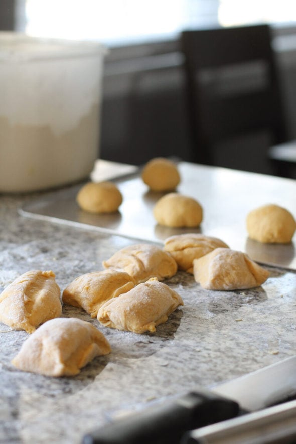 Butternut Squash Yeast Roll Recipe The Frugal Girl