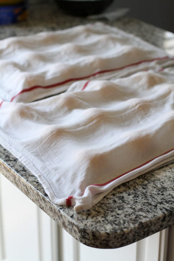 Butternut Squash Yeast Roll Recipe The Frugal Girl