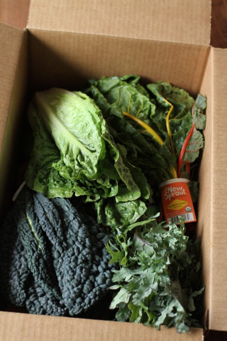 Washington's Green Grocer produce box