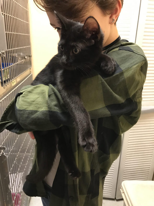Zoe with a black shelter kitten