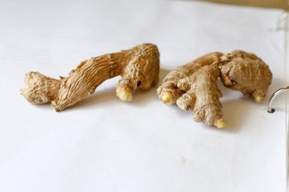 sprouted gingerroot