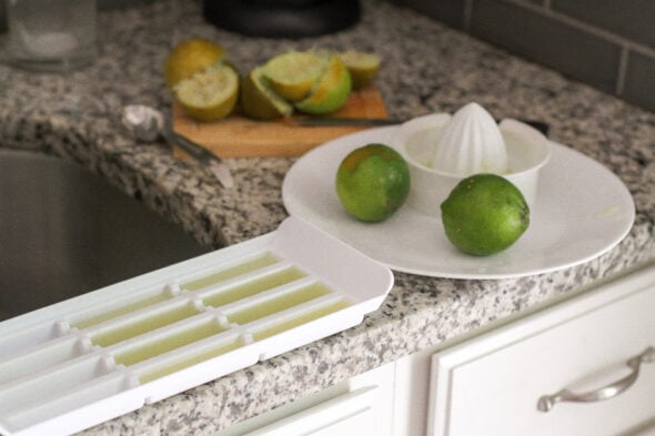 lime juice cubes 