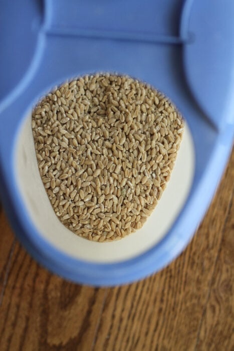 Here is our KitchenAid grain mill in action with fresh quinoa