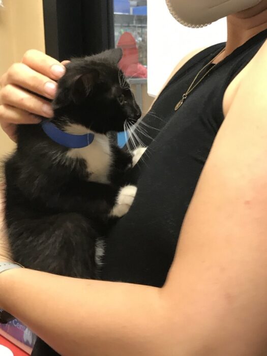Kristen with a rescue kitten.