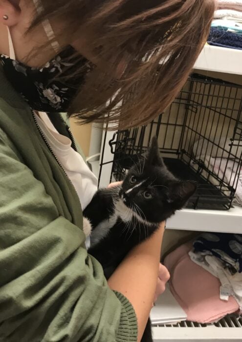 Zoe with a tuxedo rescue cat.