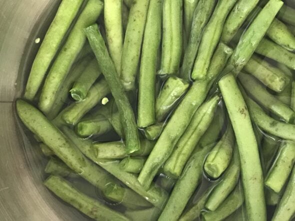 green beans soaking in ice water.