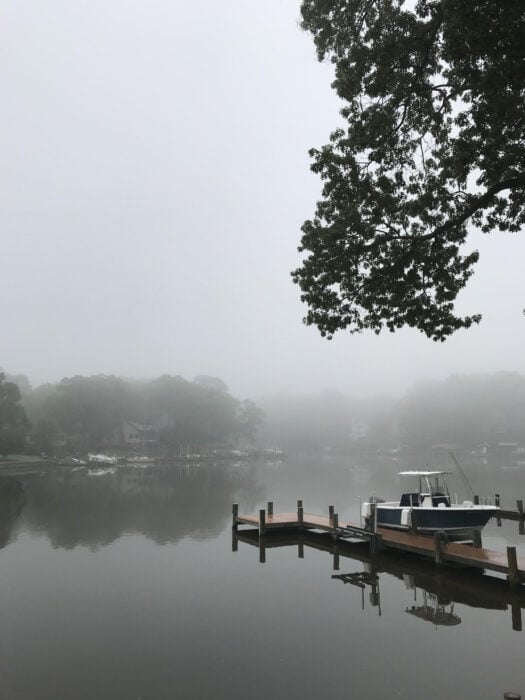 river on a foggy morning
