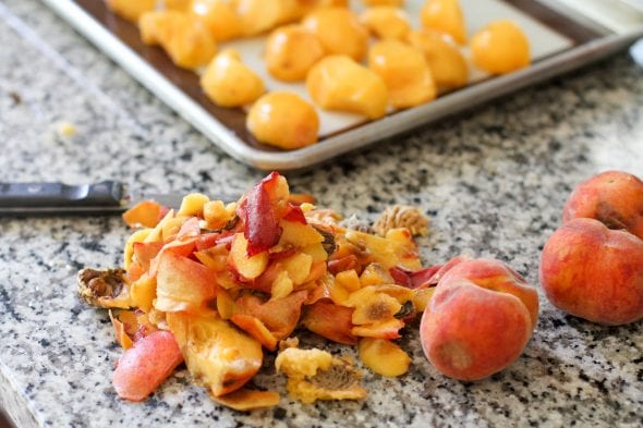 peach pits and peels on a countertop.