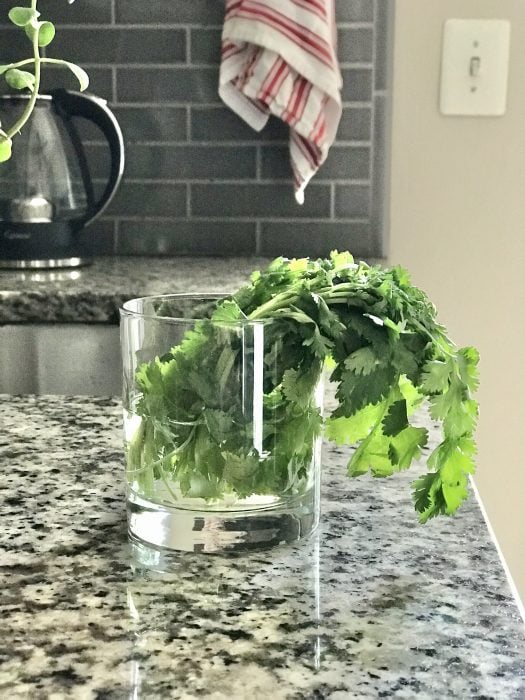 wilted cilantro