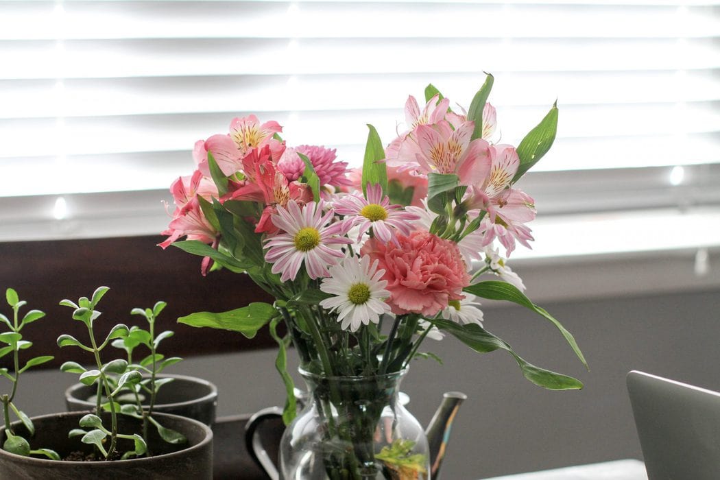 pink flowers near window