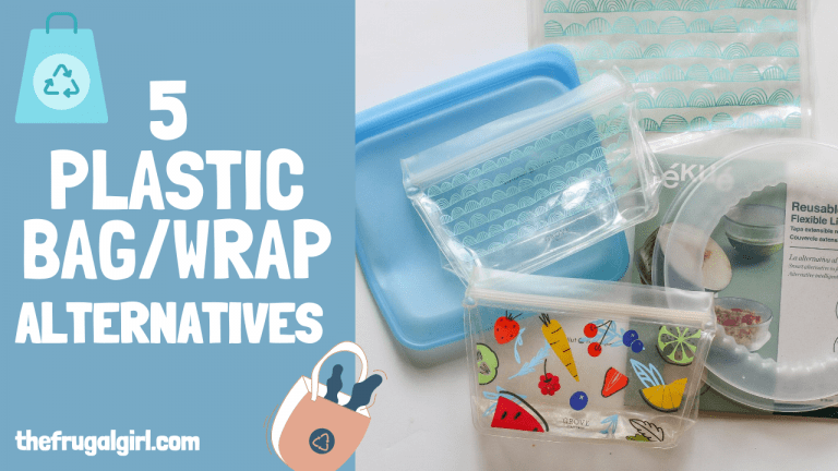5 disposable plastic bag alternatives