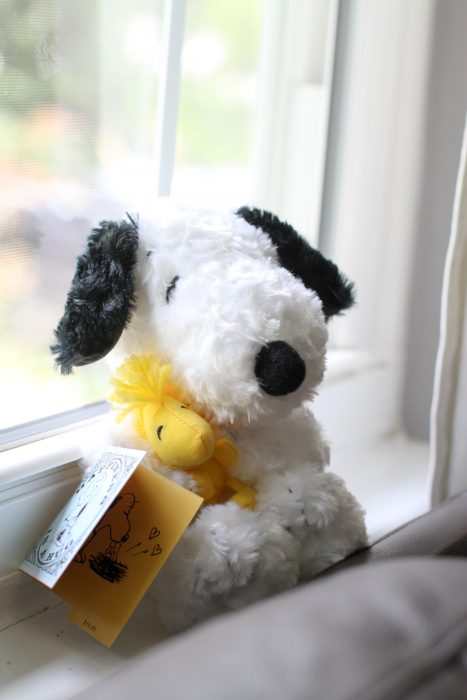 Stuffed Snoopy and Woodstock