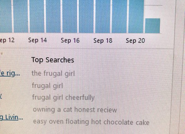 screenshot of blog search terms