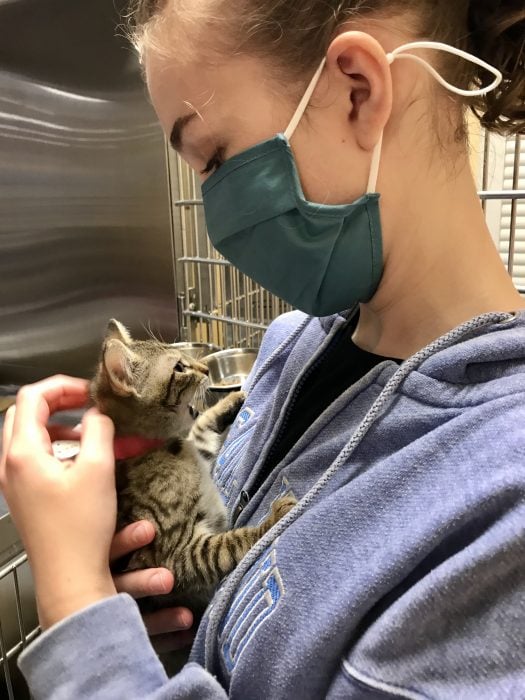 Sonia and tabby kitten