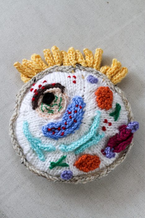 hand knit biology cell