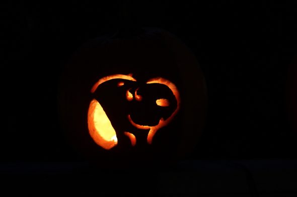 Snoopy carved pumpkin