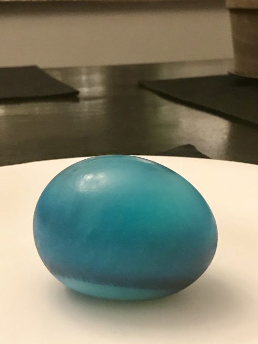 biology experiment egg