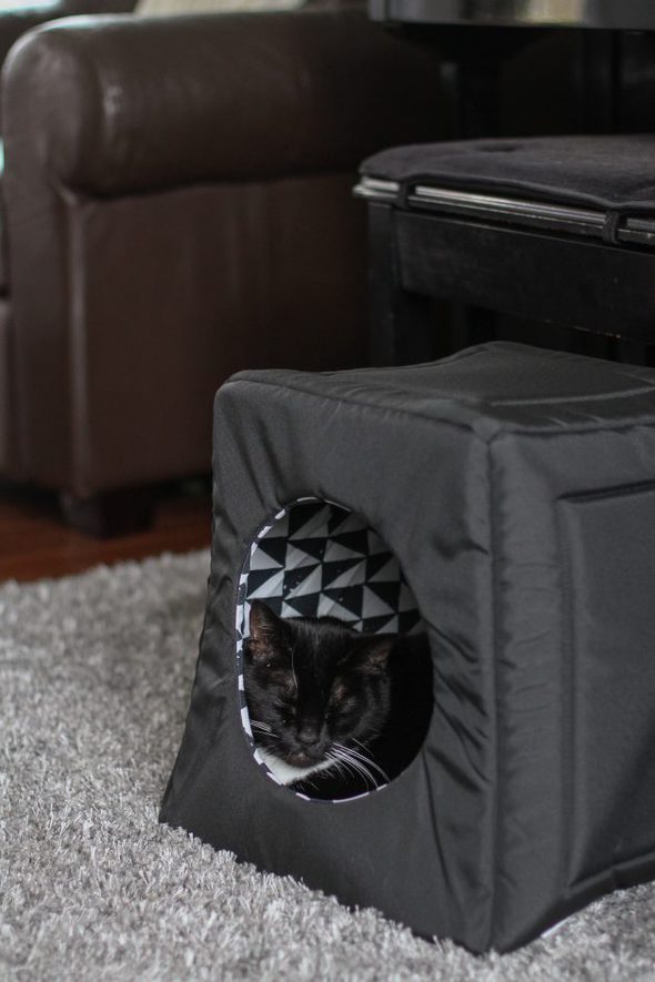 cat sleeping in black cat house