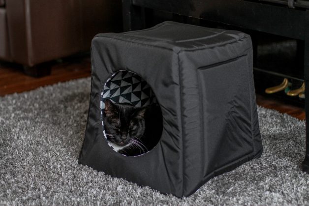 tuxedo cat in black cat house