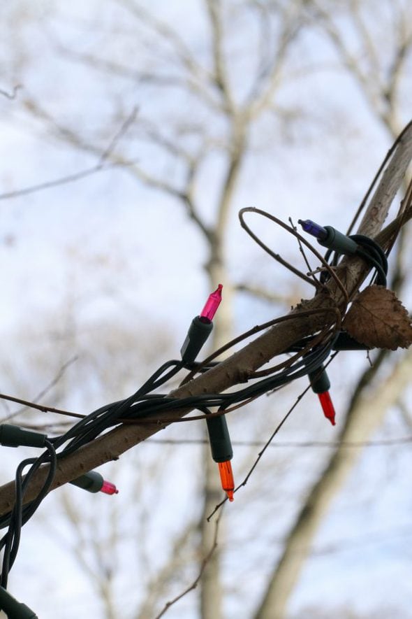 colorful Christmas lights