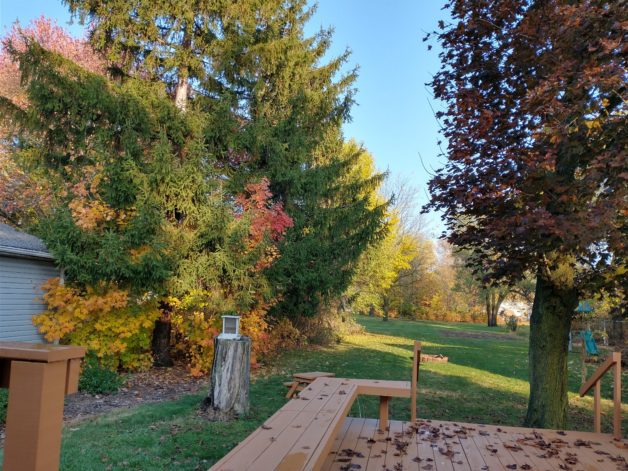 A view from a back deck.
