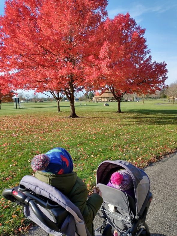 Two children in strollers on a path.