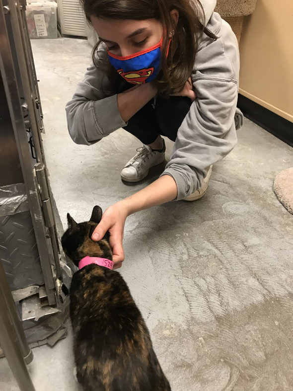Lisey with a rescue cat.